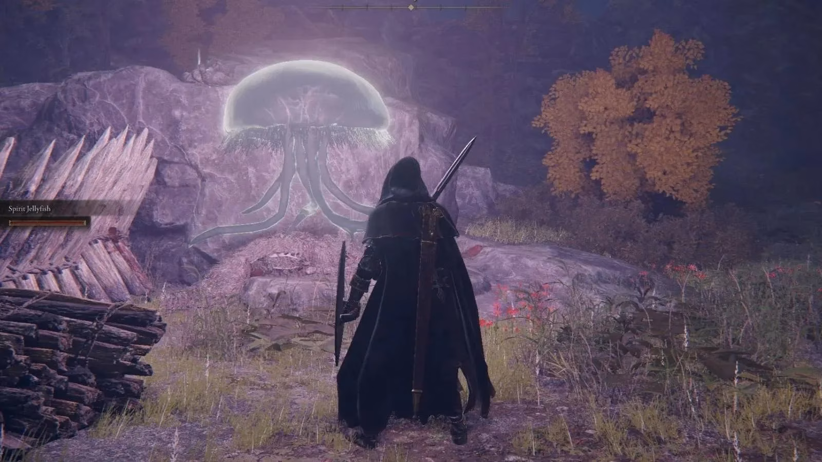 elden-ring-s-jellyfish-might-be-deceased-children-the-lore-theory-that-haunts-me-image-0