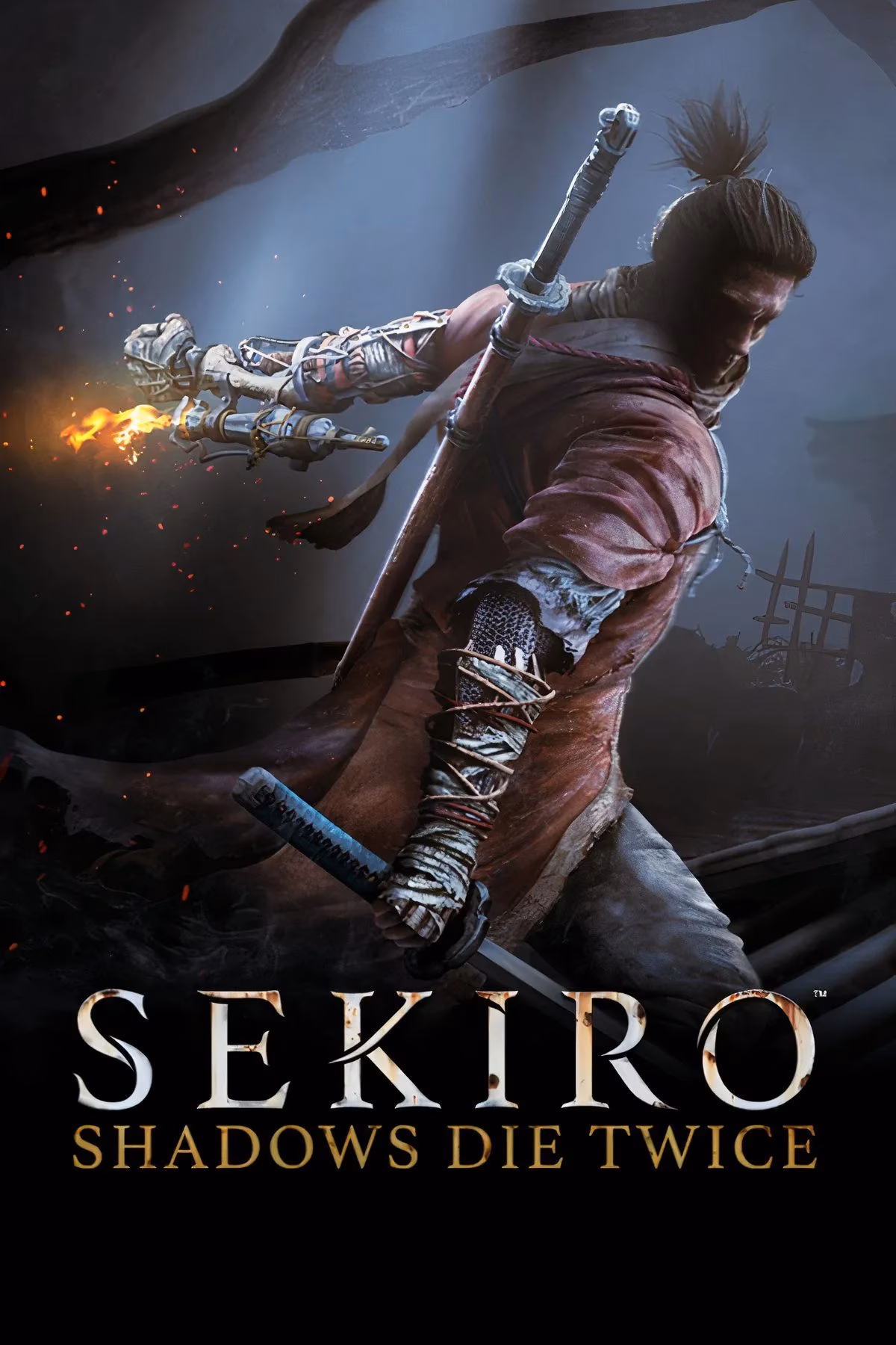 sekiro-anime-leak-why-this-underrated-gem-might-steal-the-spotlight-image-2